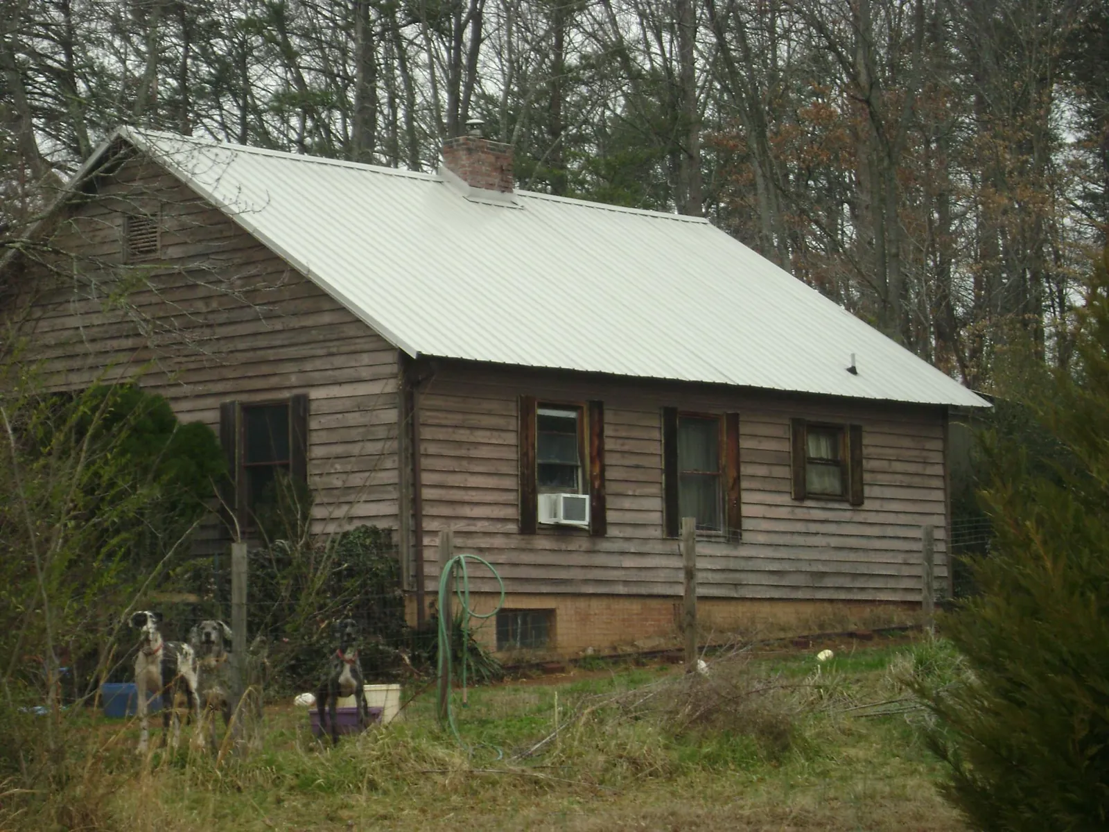 White metal roof on an old wood sided farmhouse, from a Metal Roof Installation job in Ray